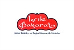 Kurum referansı